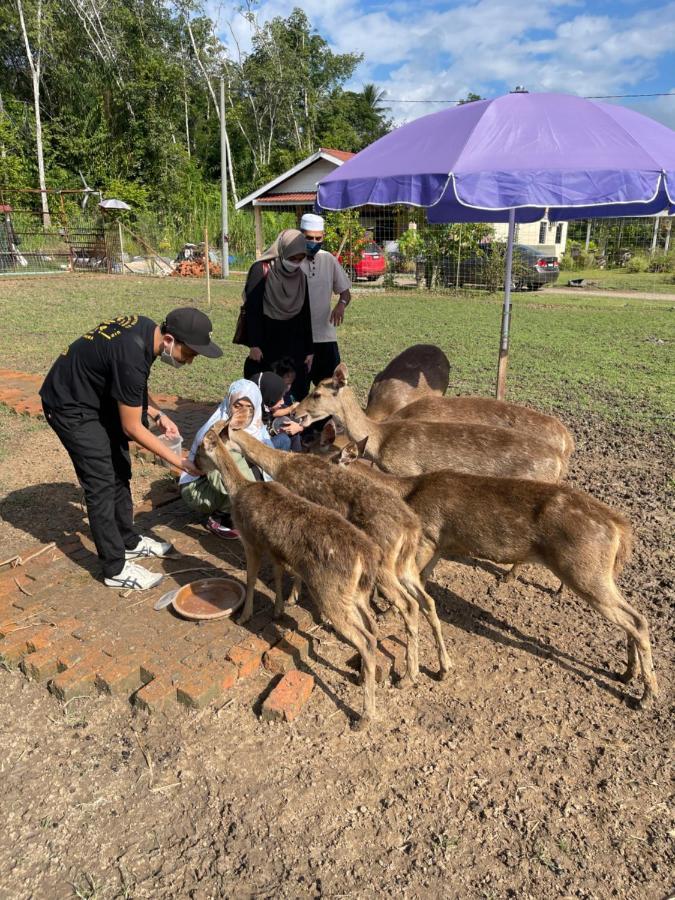 Hotel Branda Kampung Sumpitan Lenggong Tiada Sungai Kampong Ulu Jepai Zewnętrze zdjęcie