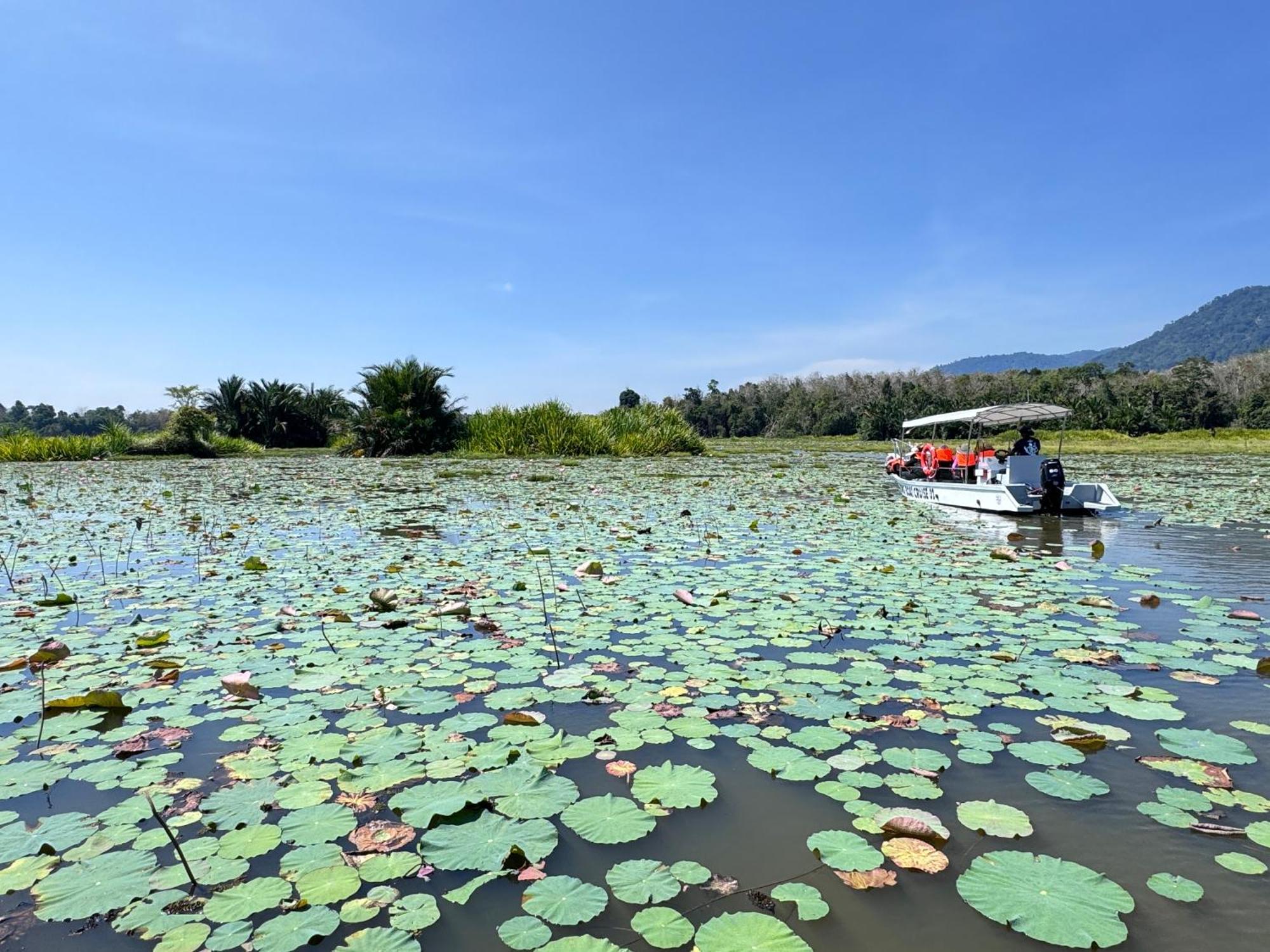 Hotel Branda Kampung Sumpitan Lenggong Tiada Sungai Kampong Ulu Jepai Zewnętrze zdjęcie